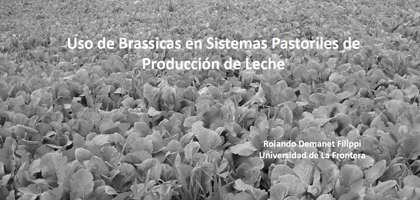 Uso de Brassicas en Sistemas Pastoriles de Producción de Leche