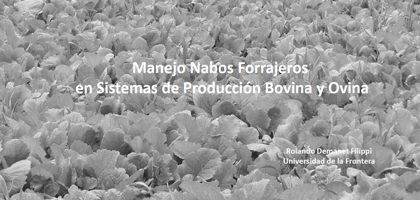 Manejo Nabos Forrajeros en Sistemas de Producción Bovina y Ovina