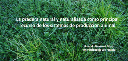 La pradera natural y naturalizada como principal recurso de los sistemas de producción animal