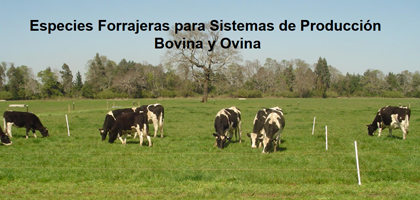 Especies Forrajeras para Sistemas de Producción Bovina y Ovina