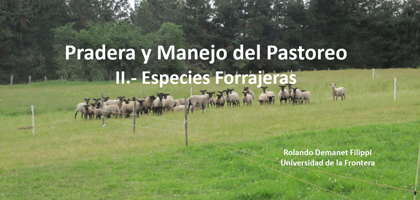 Pradera y Manejo del Pastoreo II - Especies Forrajeras