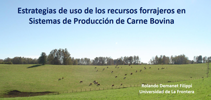 Estrategias de uso de los recursos forrajeros en Sistemas de Producción de Carne Bovina