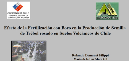 Efecto de la Fertilización con Boro en la Producción de Semilla de Trébol rosado en Suelos Volcánicos de Chile